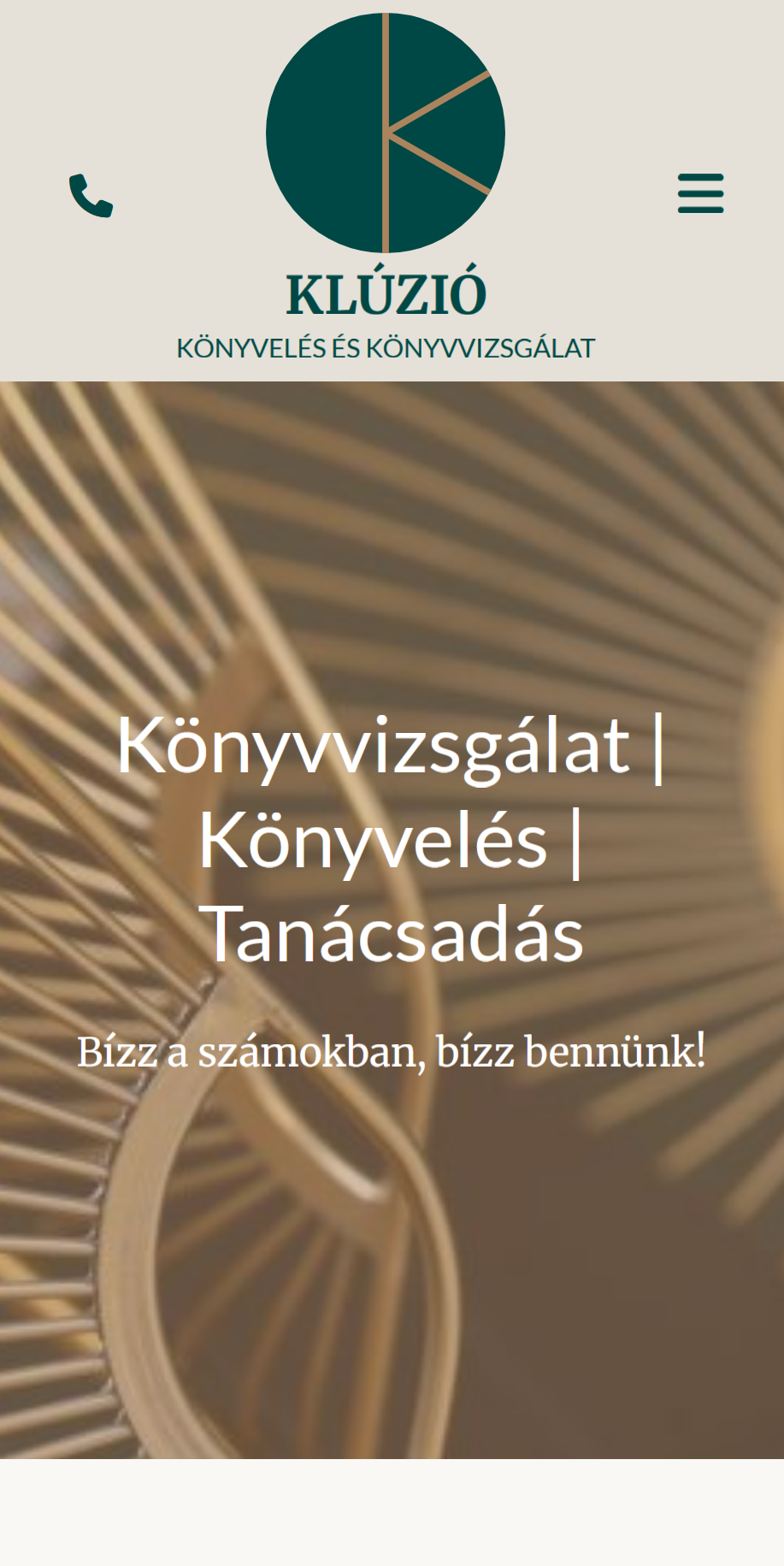 kluzio project