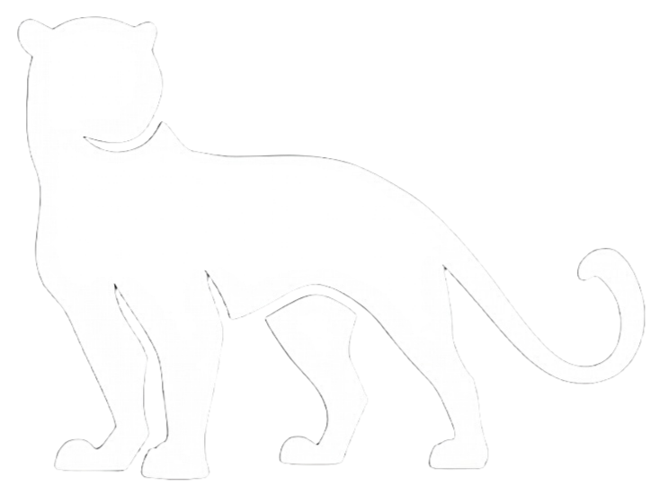 panther logo